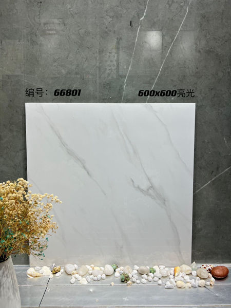 Picture of Pure white polished Tiles